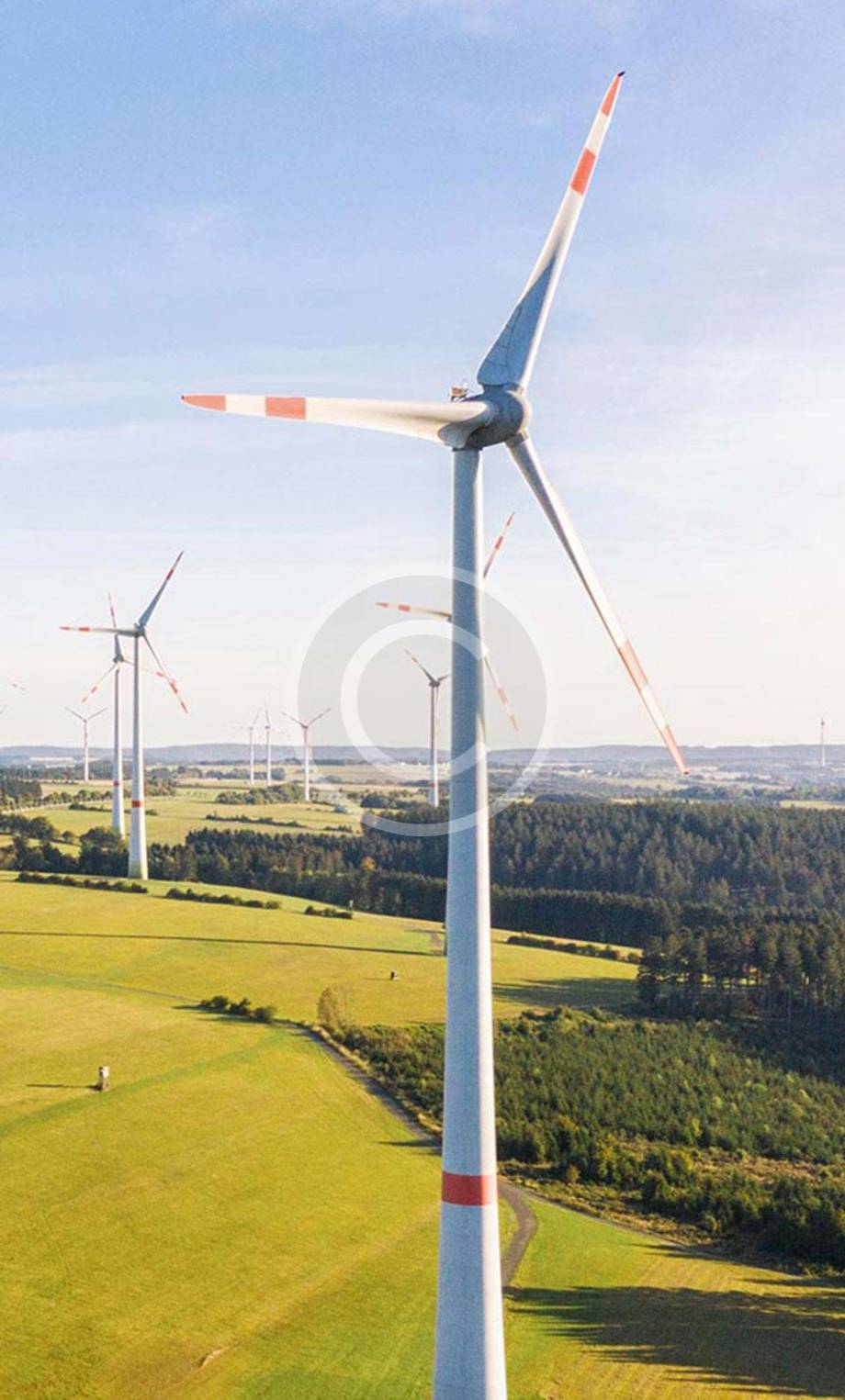 newsletter-popup newsletter-popup