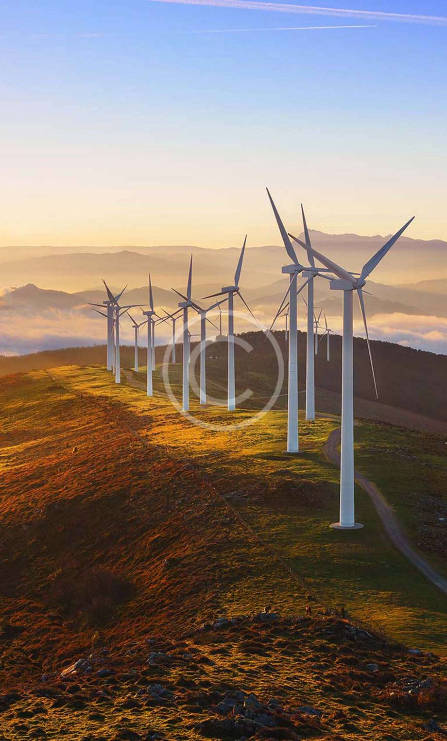 online-store-image2 online-store-image2