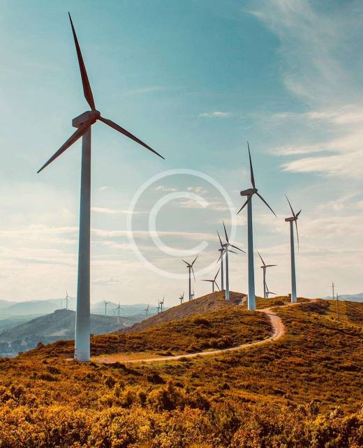 service-image9 service-image9